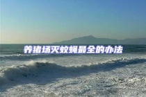 养猪场灭蚊蝇最全的办法