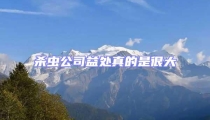 杀虫公司益处真的是很大