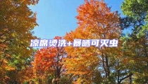 凉席烫洗+暴晒可灭虫