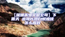 【深圳杀虫灭鼠公司】下雨天 出现长翅白蚁应该怎么应对