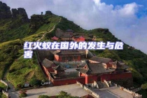 红火蚁在国外的发生与危害