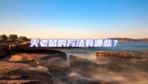 灭老鼠的方法有哪些?