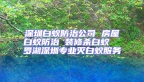 深圳白蚁防治公司 房屋白蚁防治 装修杀白蚁  罗湖深圳专业灭白蚁服务