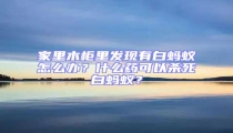 家里木柜里发现有白蚂蚁怎么办？什么药可以杀死白蚂蚁？