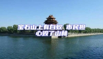 宝石山上有白蚁 市民担心毁了山林