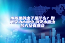 木板里的虫子是什么？如何灭治木蠹虫,消灭木蠹虫的方法有哪些