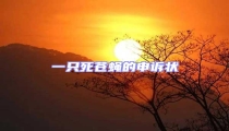 一只死苍蝇的申诉状