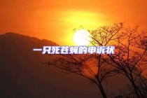 一只死苍蝇的申诉状