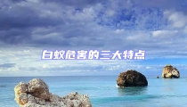 白蚁危害的三大特点