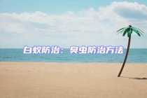 白蚁防治：臭虫防治方法