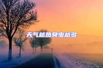 天气越热臭虫越多