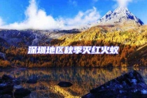 深圳地区秋季灭红火蚁