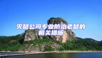 灭鼠公司专业防治老鼠的相关措施