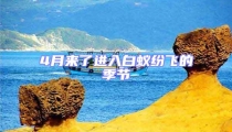 4月来了进入白蚁纷飞的季节