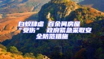 白蚁肆虐 百余间房屋“受伤” 政府紧急采取安全防范措施