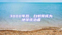 3000年后,白蚁将成为地球统治者