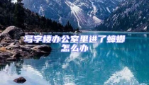 写字楼办公室里进了蟑螂怎么办