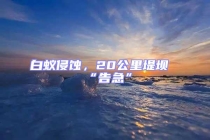 白蚁侵蚀，20公里堤坝“告急”