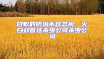 白蚁的防治不容忽视,灭白蚁首选杀虫公司杀虫公司