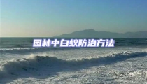 园林中白蚁防治方法