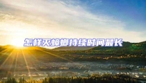 怎样灭蟑螂持续时间最长