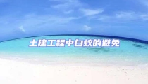 土建工程中白蚁的避免