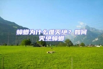 蟑螂为什么难灭绝？如何灭绝蟑螂