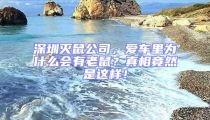 深圳灭鼠公司，爱车里为什么会有老鼠？真相竟然是这样！