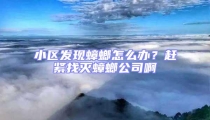 小区发现蟑螂怎么办？赶紧找灭蟑螂公司啊