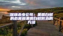 深圳杀虫公司：果园白蚁的危害和果园白蚁防治的方法