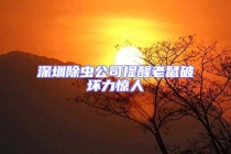 深圳除虫公司提醒老鼠破坏力惊人