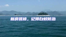 新房装修,记得白蚁防治