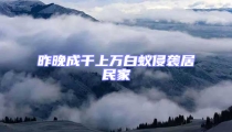 昨晚成千上万白蚁侵袭居民家