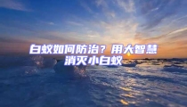 白蚁如何防治?用大智慧消灭小白蚁