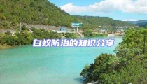 白蚁防治的知识分享