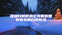 深圳白蚁防治公司教您如何有效的白蚁防治