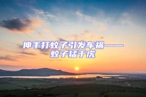 伸手打蚊子引发车祸——蚊子猛于虎