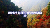 通过什么找白蚁的活动轨迹