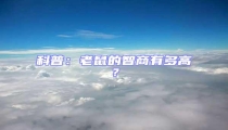 科普:老鼠的智商有多高?