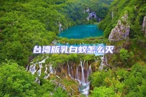 台湾版乳白蚁怎么灭