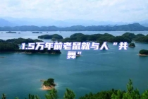 1.5万年前老鼠就与人“共舞”