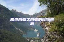 根绝白蚁之白蚁的食物来源