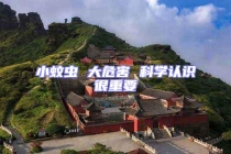 小蚊虫 大危害 科学认识很重要
