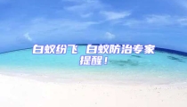白蚁纷飞 白蚁防治专家提醒!