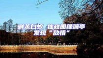 剿杀白蚁 拙政园绿漪亭发现“敌情”