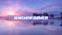 深圳白蚁防治的成效