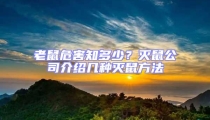 老鼠危害知多少?灭鼠公司介绍几种灭鼠方法