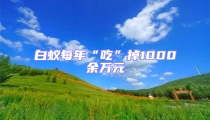 白蚁每年“吃”掉1000余万元