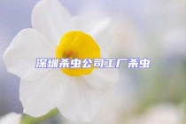 深圳杀虫公司工厂杀虫