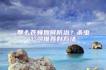 那么苍蝇如何防治？杀虫公司推荐好方法